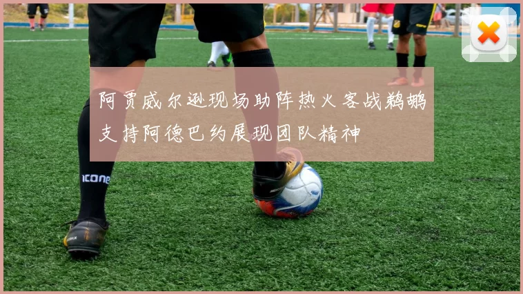 阿贾威尔逊现场助阵热火客战鹈鹕支持阿德巴约展现团队精神