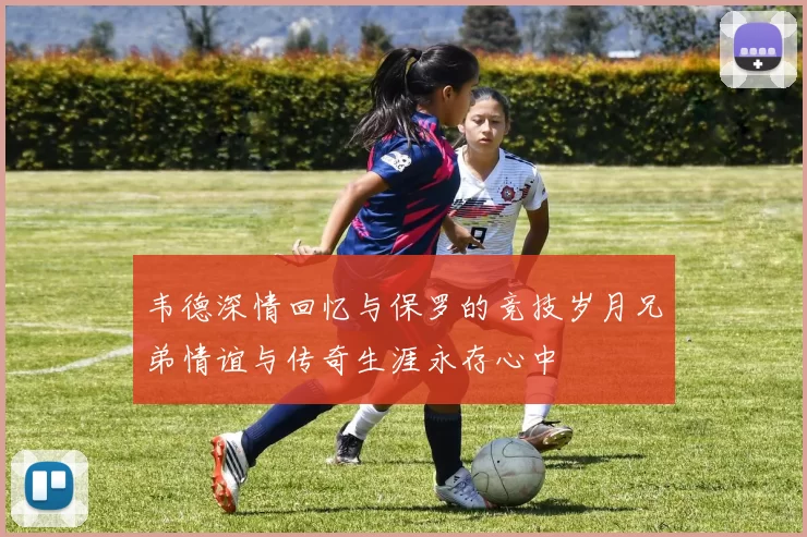 韦德深情回忆与保罗的竞技岁月兄弟情谊与传奇生涯永存心中